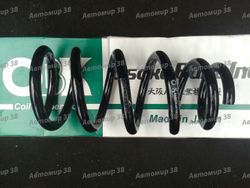 C4H31112 Пружина задняя