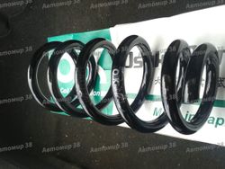 C4H31112 Пружина задняя