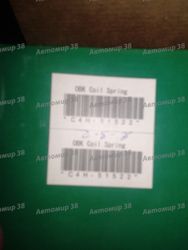 C4H51522 Пружина задняя